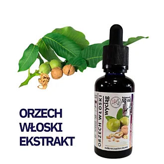 Orzech włoski wyciąg 